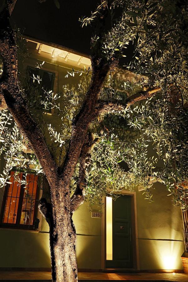 B&B Ulivo Gaio San Miniato Buitenkant foto